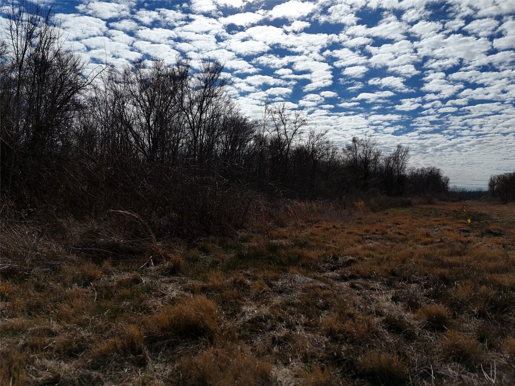 Picture 14