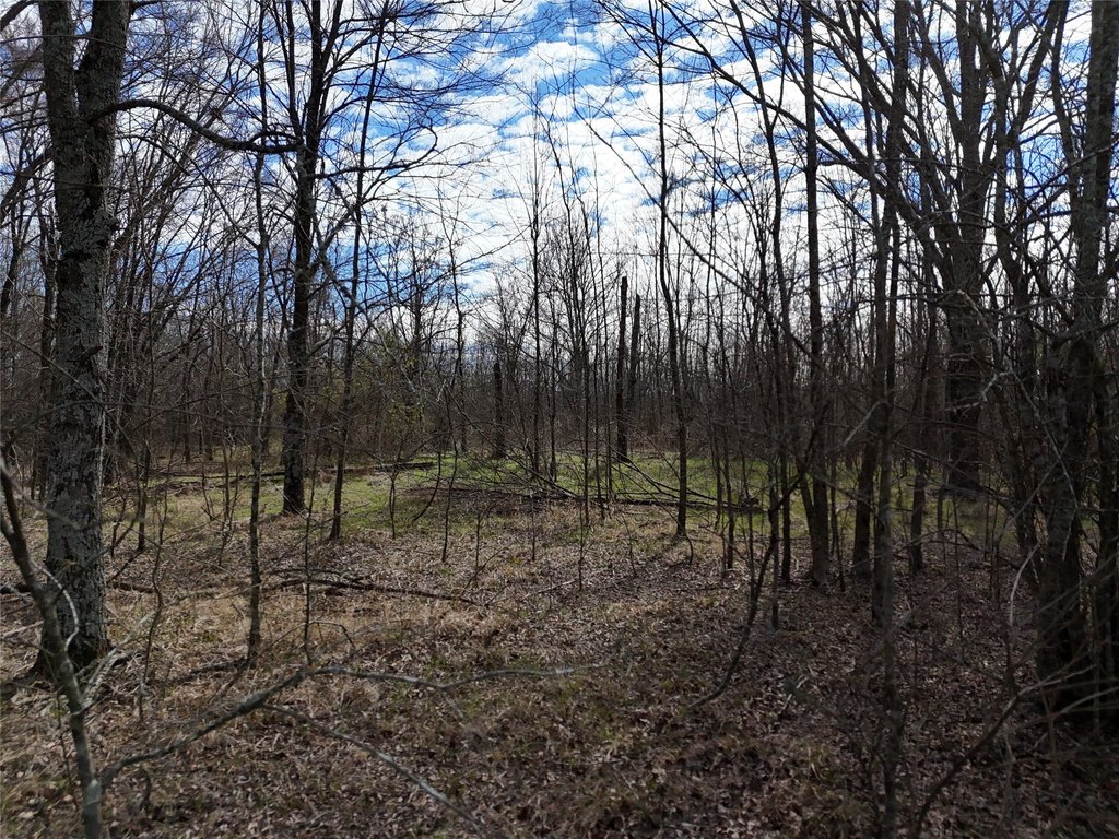 Picture 13