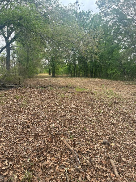 Picture 10