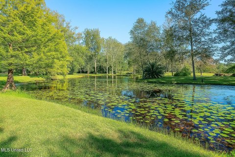 Picayune Land with Unique Features