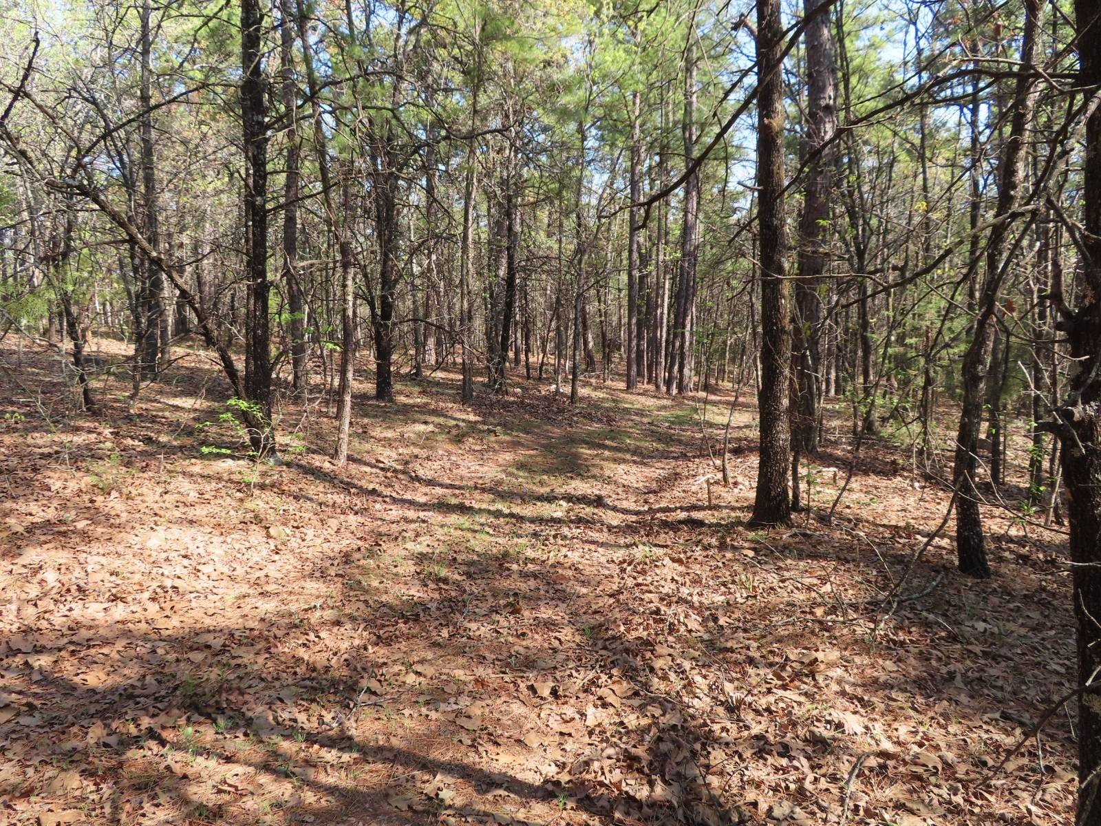 5 Acres Wooded Land