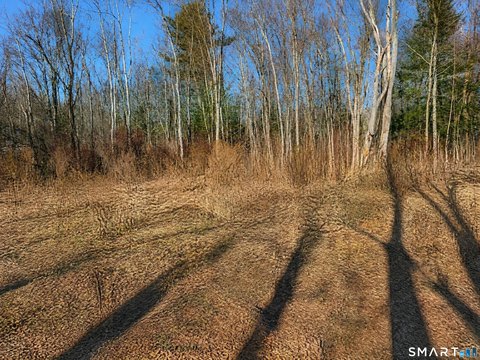 Approved Building Lot in Torrington