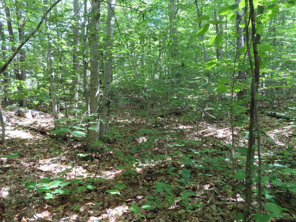 Picture 17