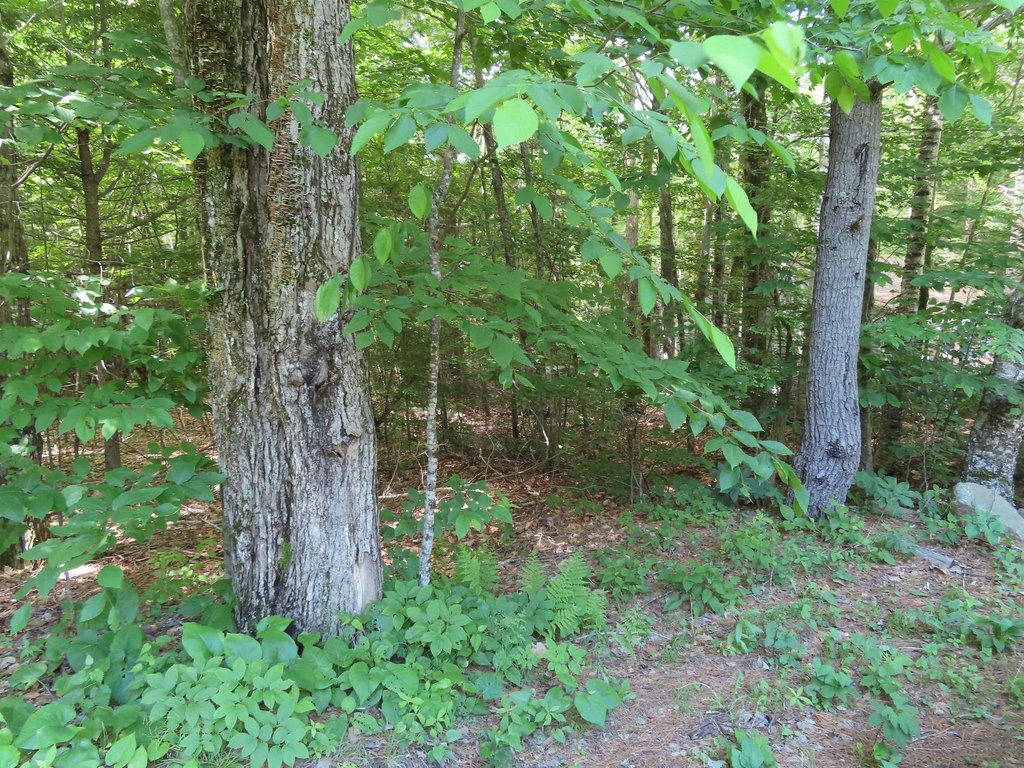 Picture 9