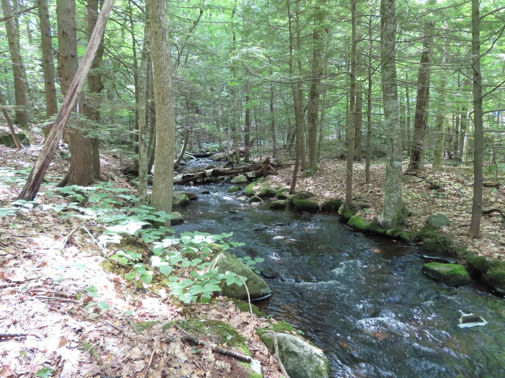 Picture 18