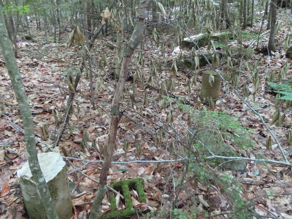 Picture 16