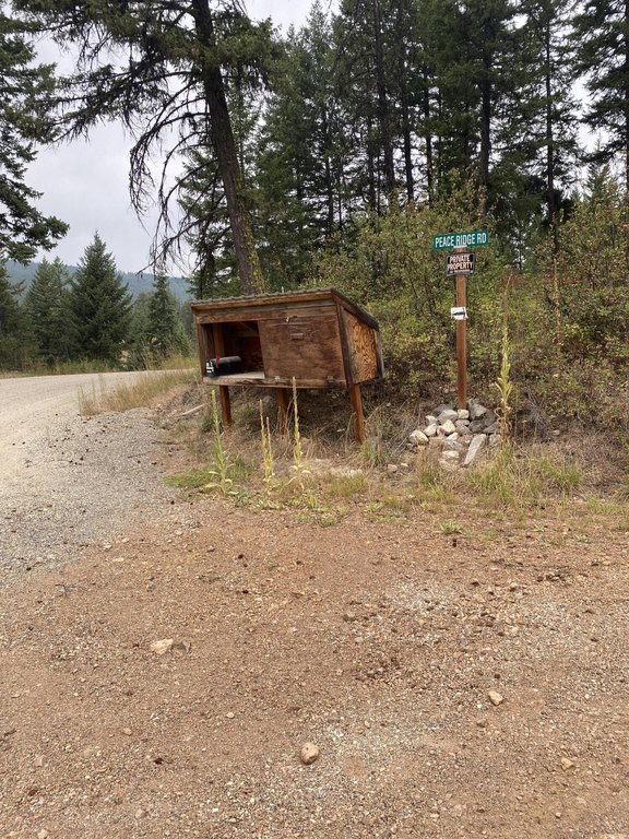 Picture 7
