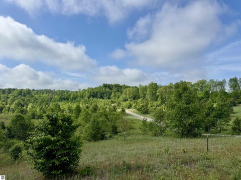 Adjoining Recreational Homesites