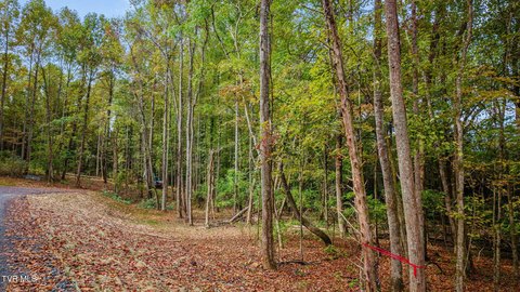 Land, Elizabethton, TN