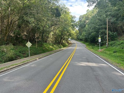 Residential Land in Guntersville, AL