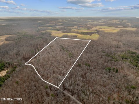 Nearly Level Creekside Land Tract
