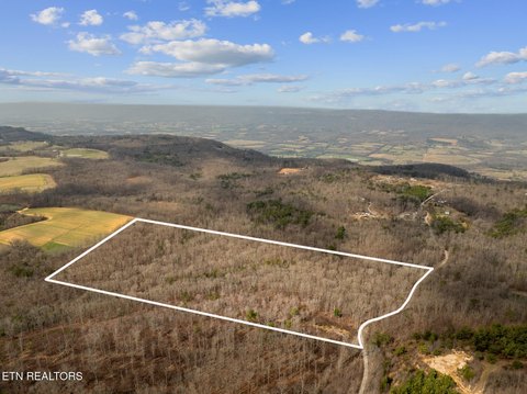 Nearly Level Creekside Land Tract