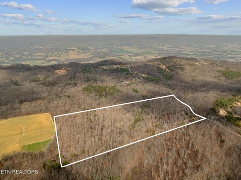 Nearly Level Creekside Land Tract