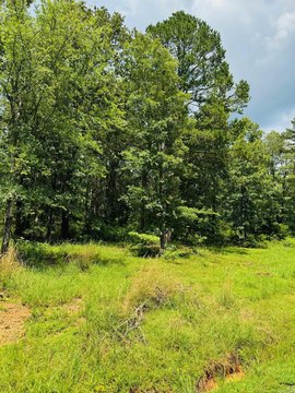 LAND - Heber Springs, AR