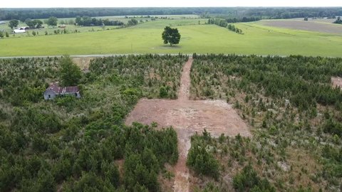 LAND - Blenheim, SC
