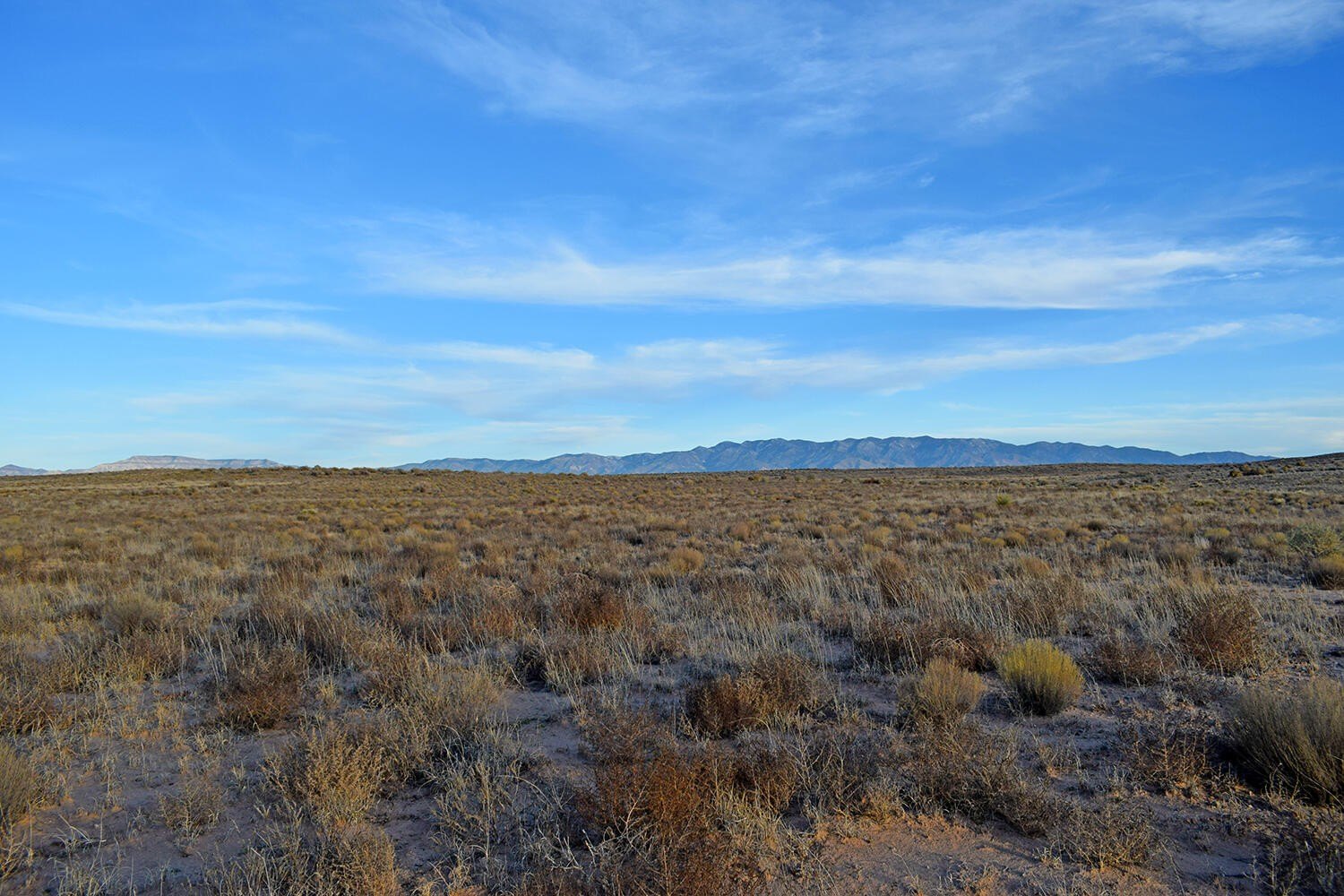 Land in Belen, New Mexico