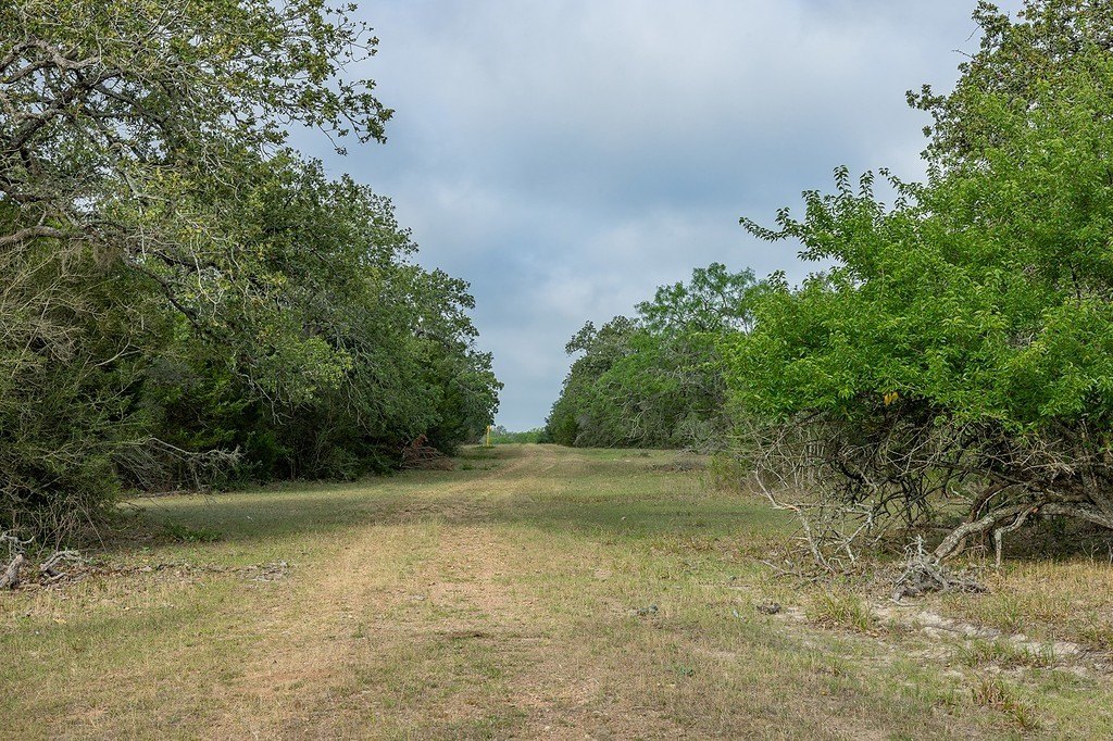 Picture 20