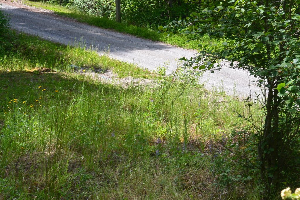 Picture 10