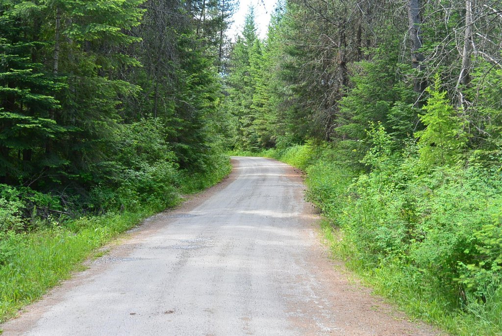 Picture 4