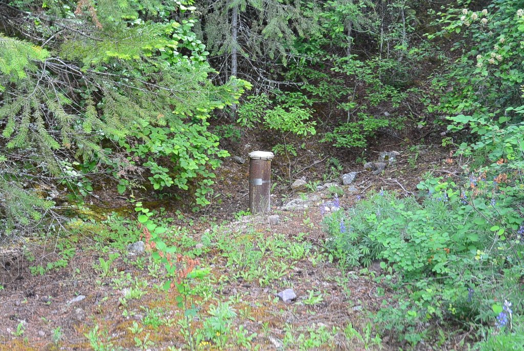 Picture 5