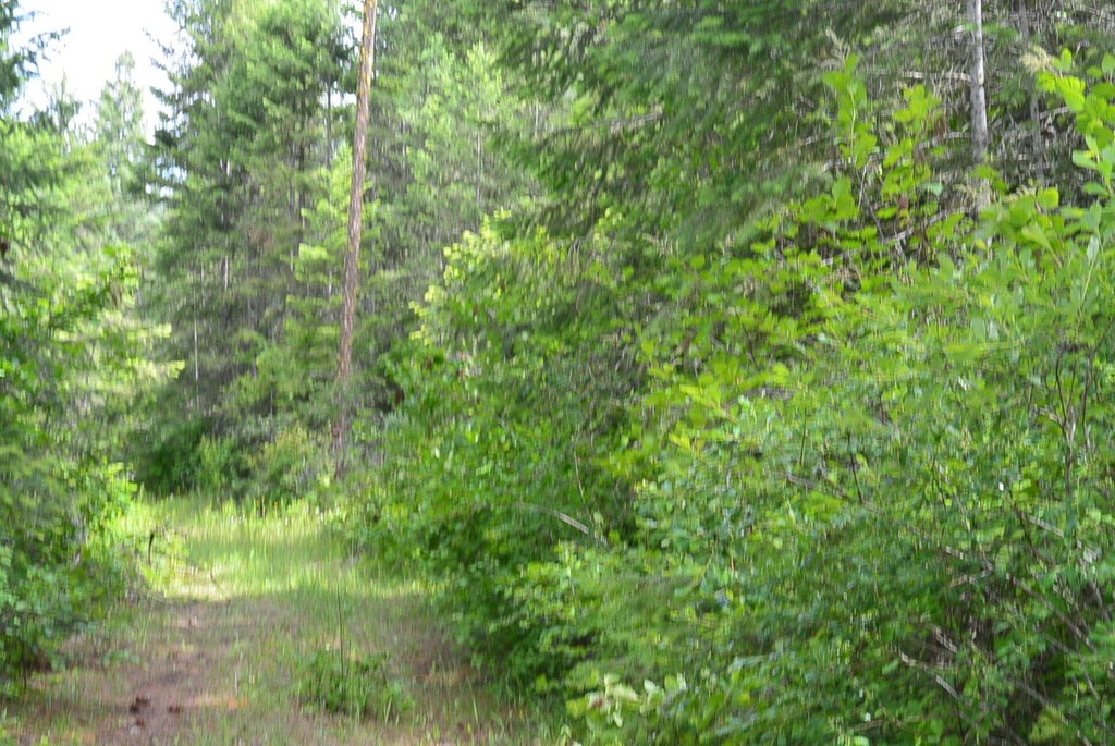 Picture 8