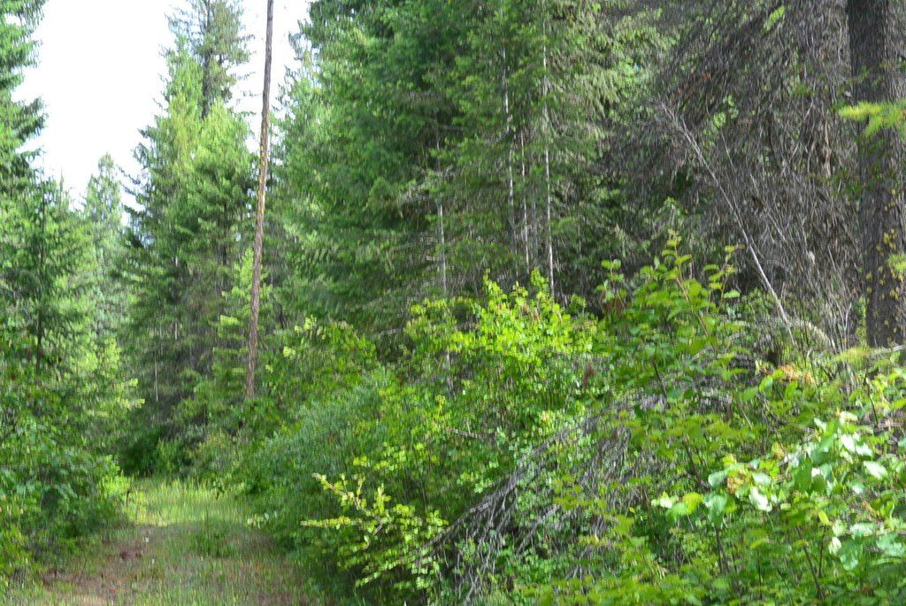 Picture 7