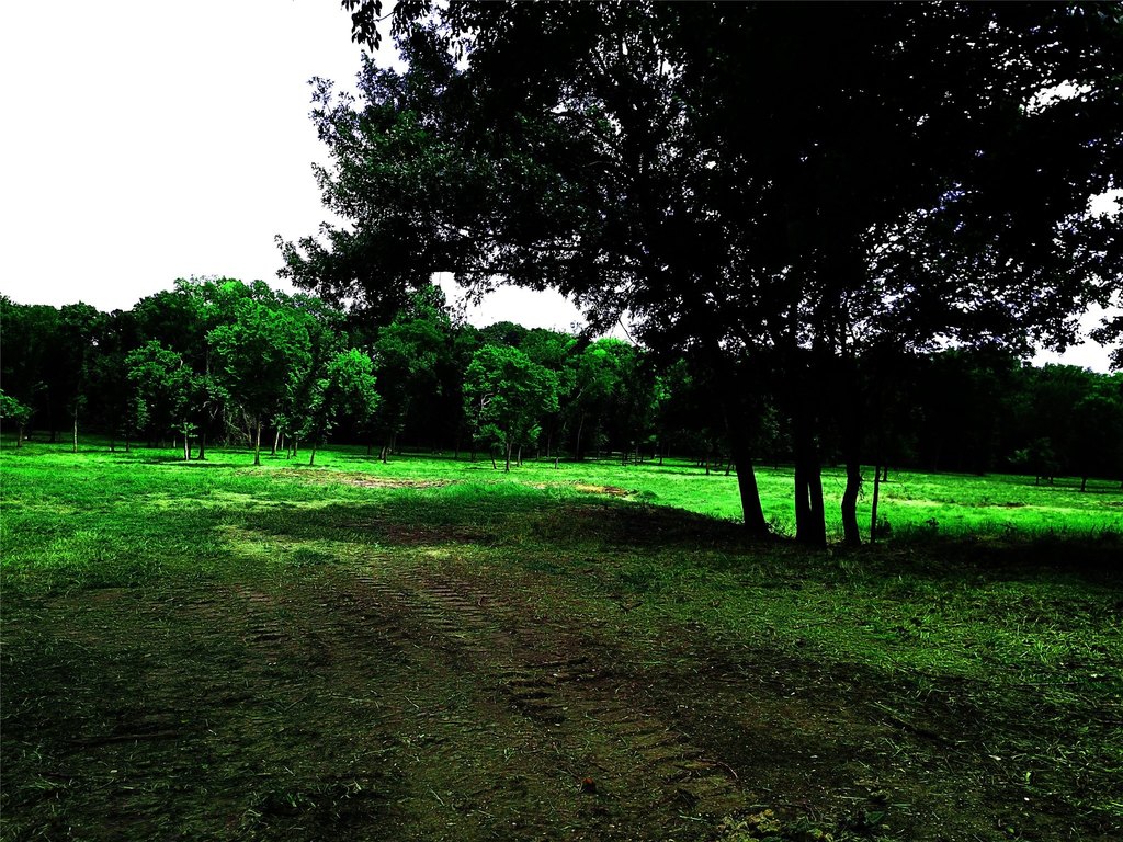 Picture 7