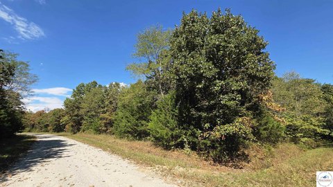 Wooded Residential Lot in Gated Community