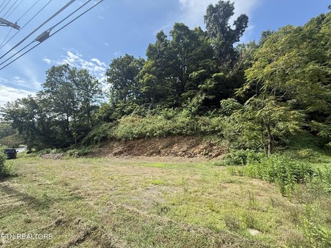 Lots & Acreage, Rogersville, TN