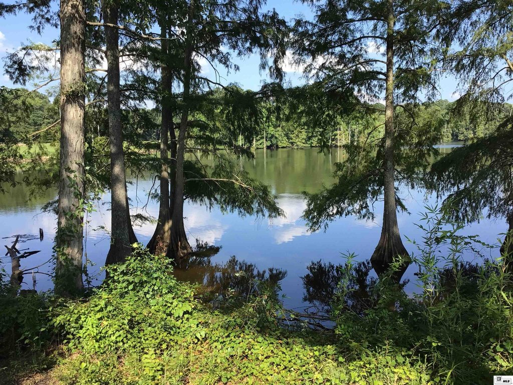 Picture 36
