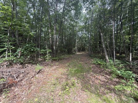 LAND - Gladwin, MI