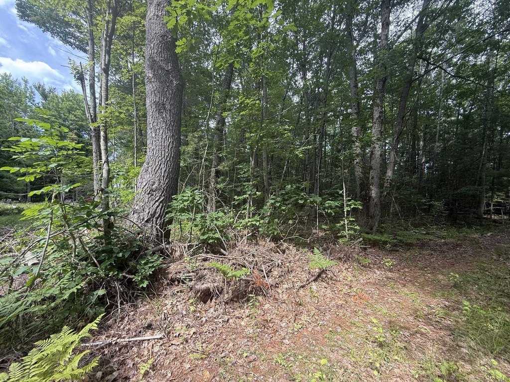 Picture 2