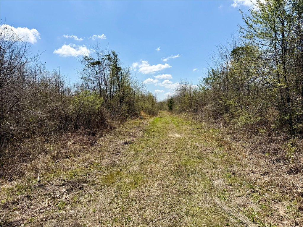 Picture 25