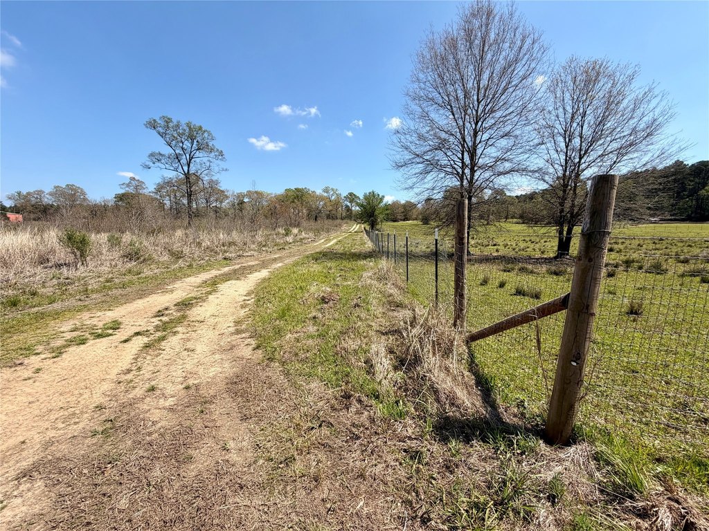 Picture 22