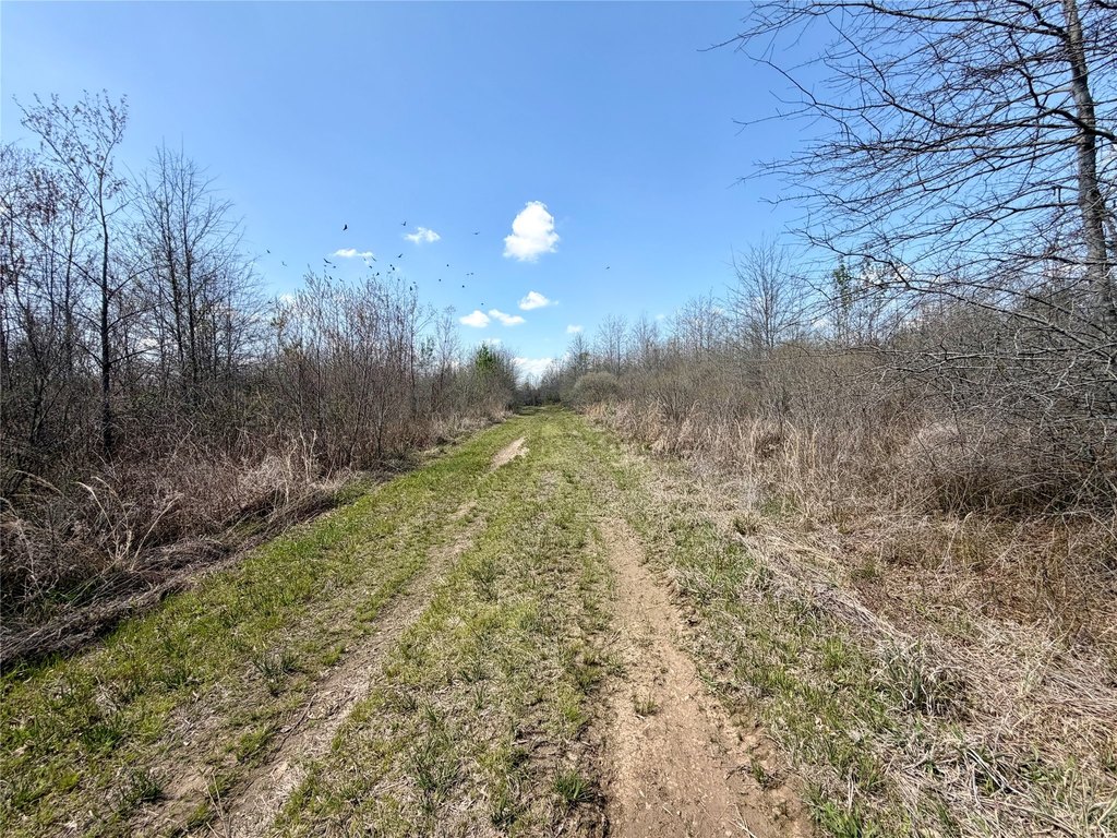 Picture 24