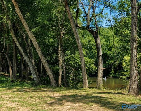 LAND - Piedmont, AL