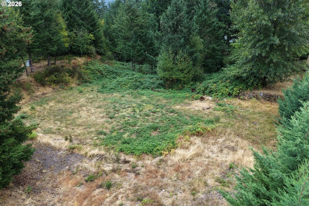 Picture 15