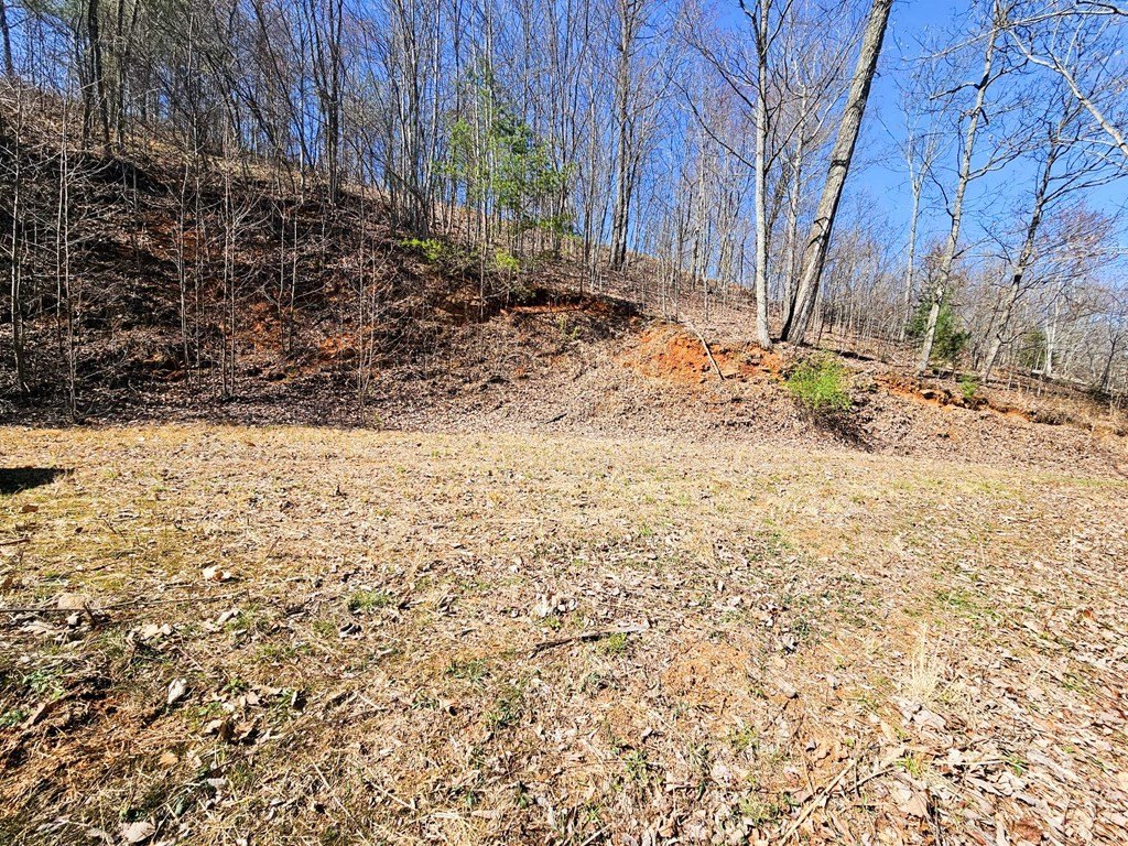 Picture 14