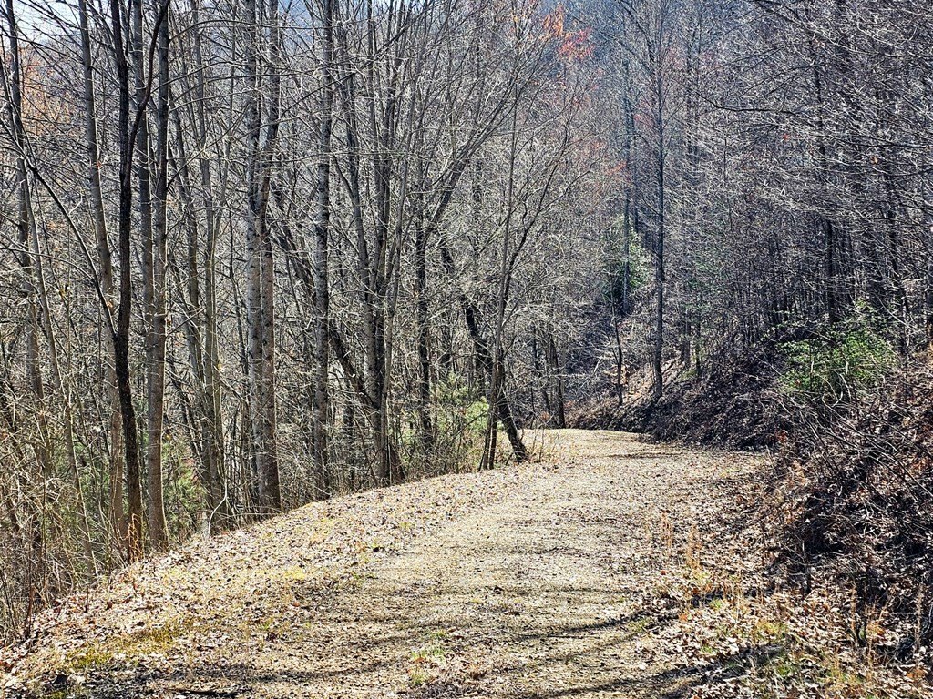Picture 8