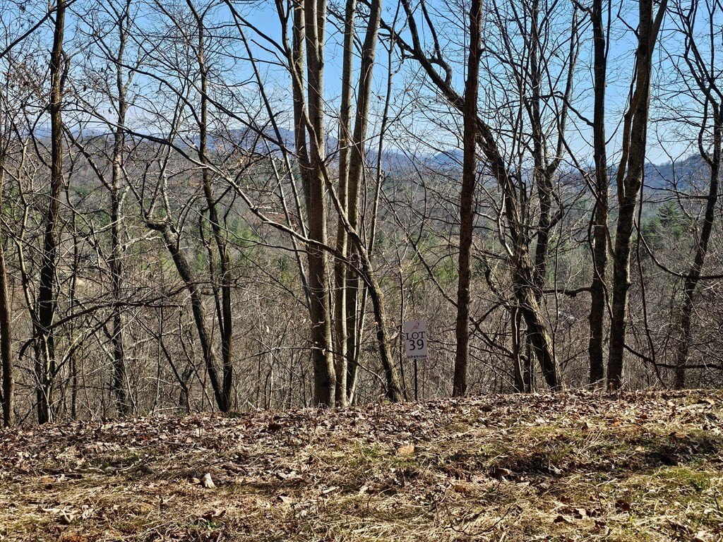 Picture 13