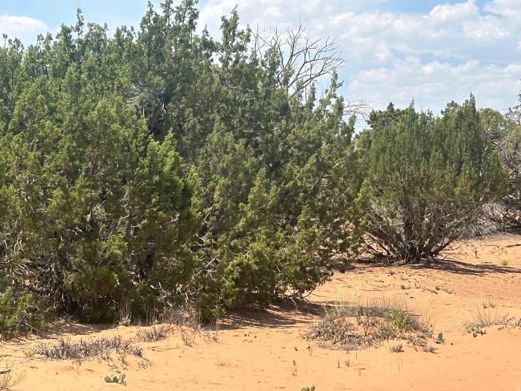 Picture 10