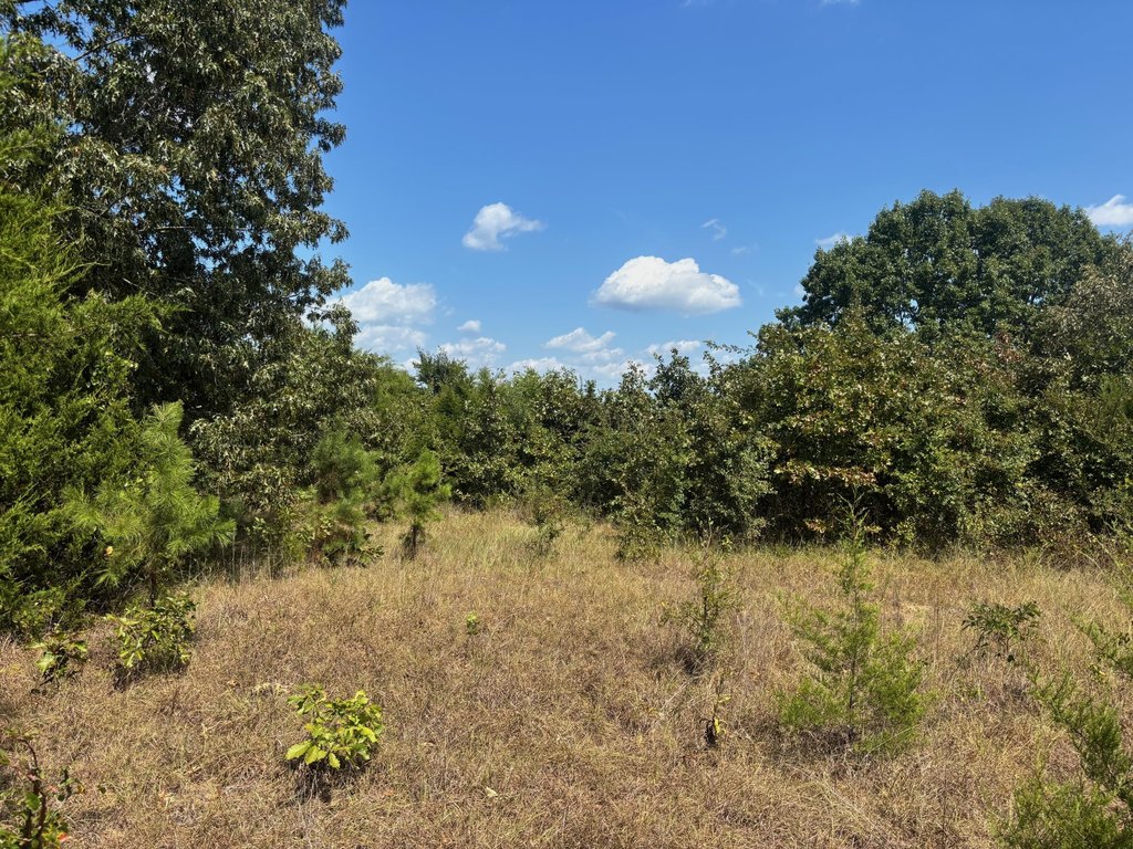 Picture 19