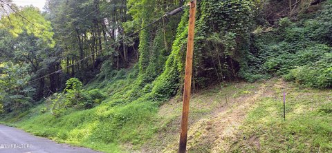 Lots & Acreage, Sevierville, TN