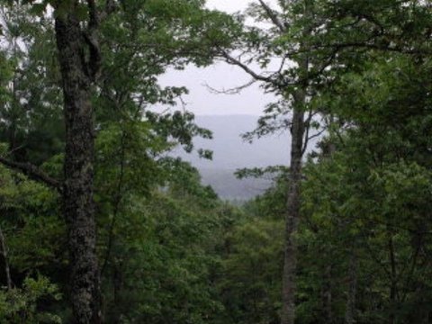 Land with Amazing Views
