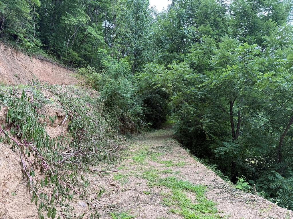 Picture 19