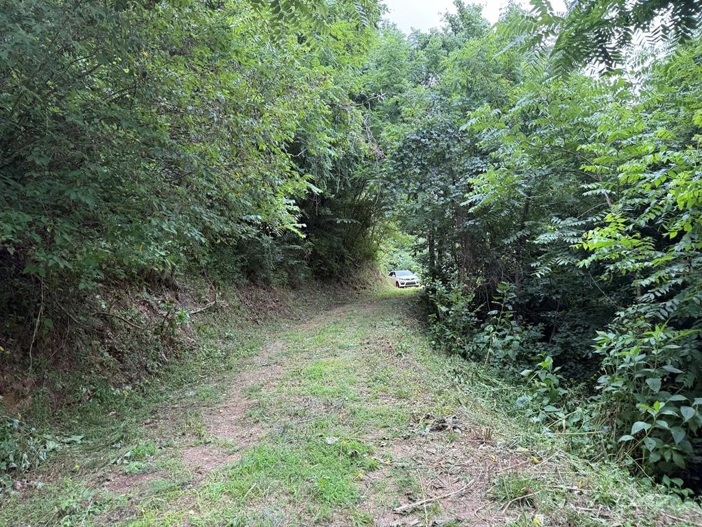 Picture 4
