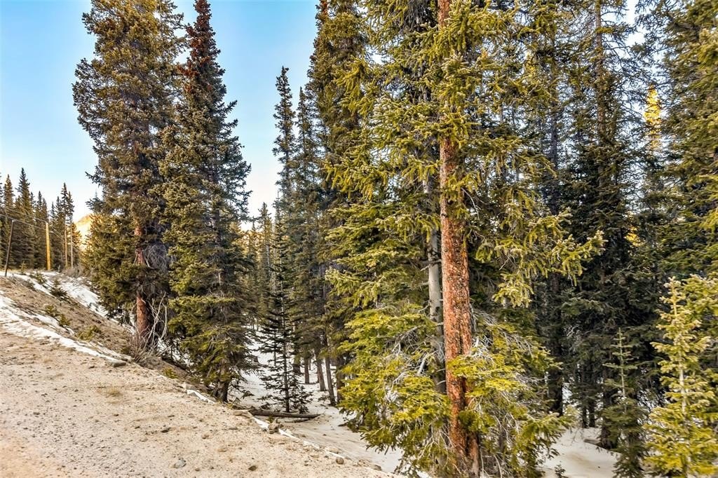 Picture 29
