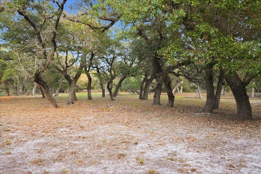 Picture 32