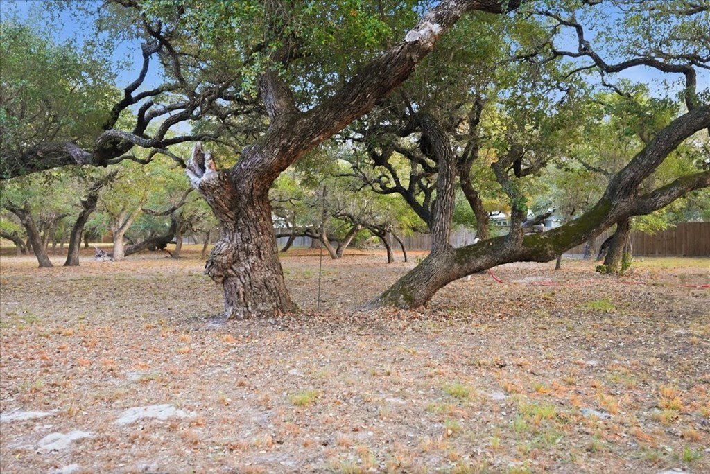 Picture 31