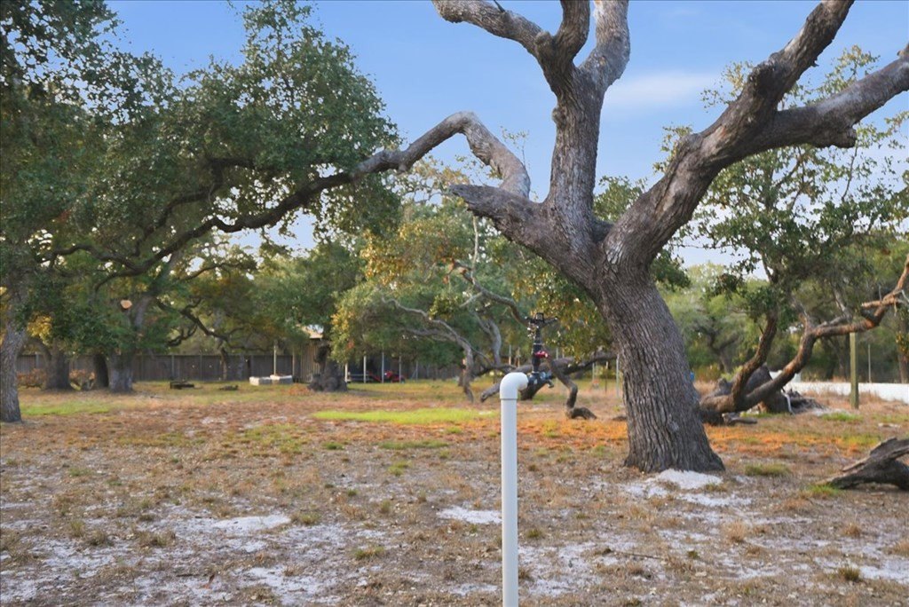 Picture 28
